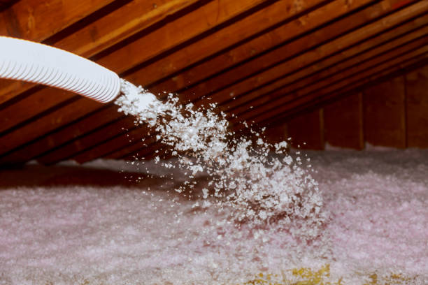 Best Fiberglass Insulation  in The Hammocks, FL