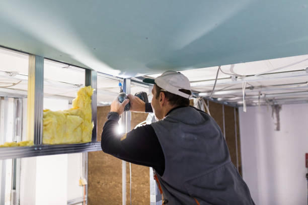 Best Local Insulation Services  in The Hammocks, FL