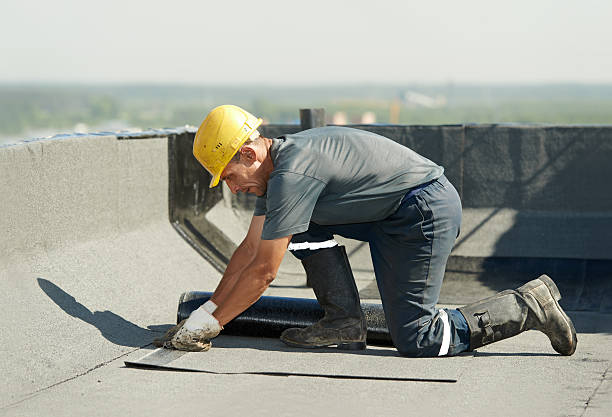 Best Garage Insulation Installation  in The Hammocks, FL