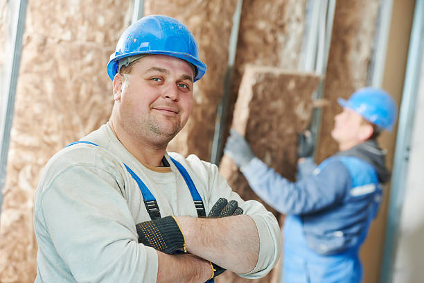 Best Insulation Replacement Services  in The Hammocks, FL